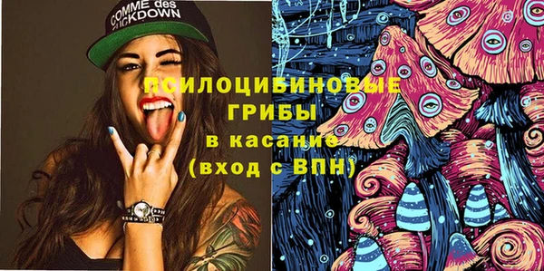 ГАЛЛЮЦИНОГЕННЫЕ ГРИБЫ Алексин