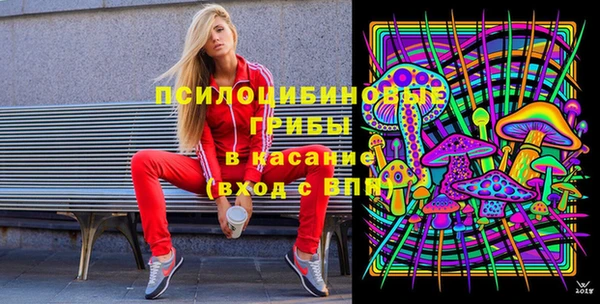 дурь Алзамай